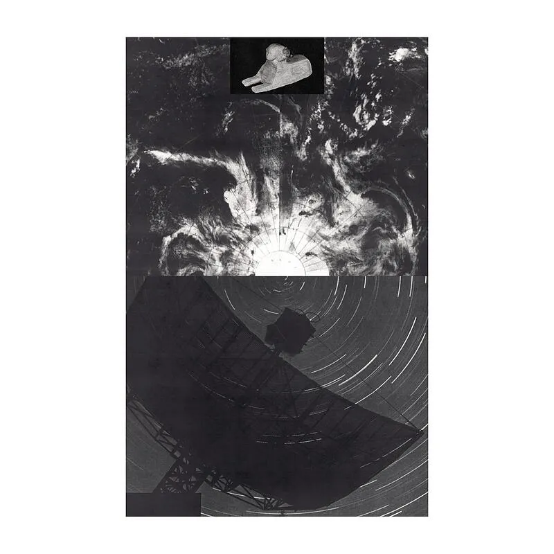 Radio Species - Compressed Knowledge : CASSETTE