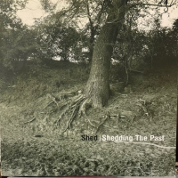 Shed - Shedding The Past