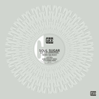 Soul Sugar (Ft. Leonardo Carmichael) - Never Too Much Remix Including Special Versions By Sly & Robbie And adam prescott