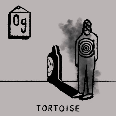 Tortoise TNT LP レコード TORTOISE - TNT - Boomkat