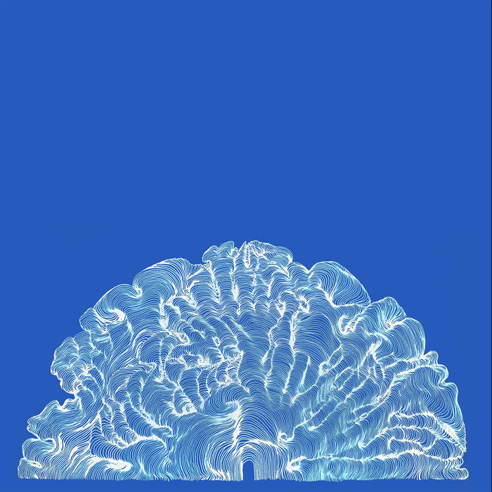 Leafcutter John - Yes! Come Parade With Us : LP