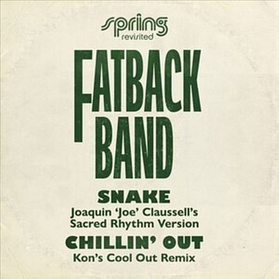 The Fatback Band - Snake (Joaquin 'Joe' Claussell's Sacred Rhythm Version / Chillin' Out (Spring Revisited Mixes) : 12inch