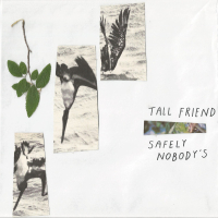 TALL FRIEND - Safely Nobody's