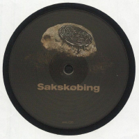 Niki Il B - Labyrinth of Echoes