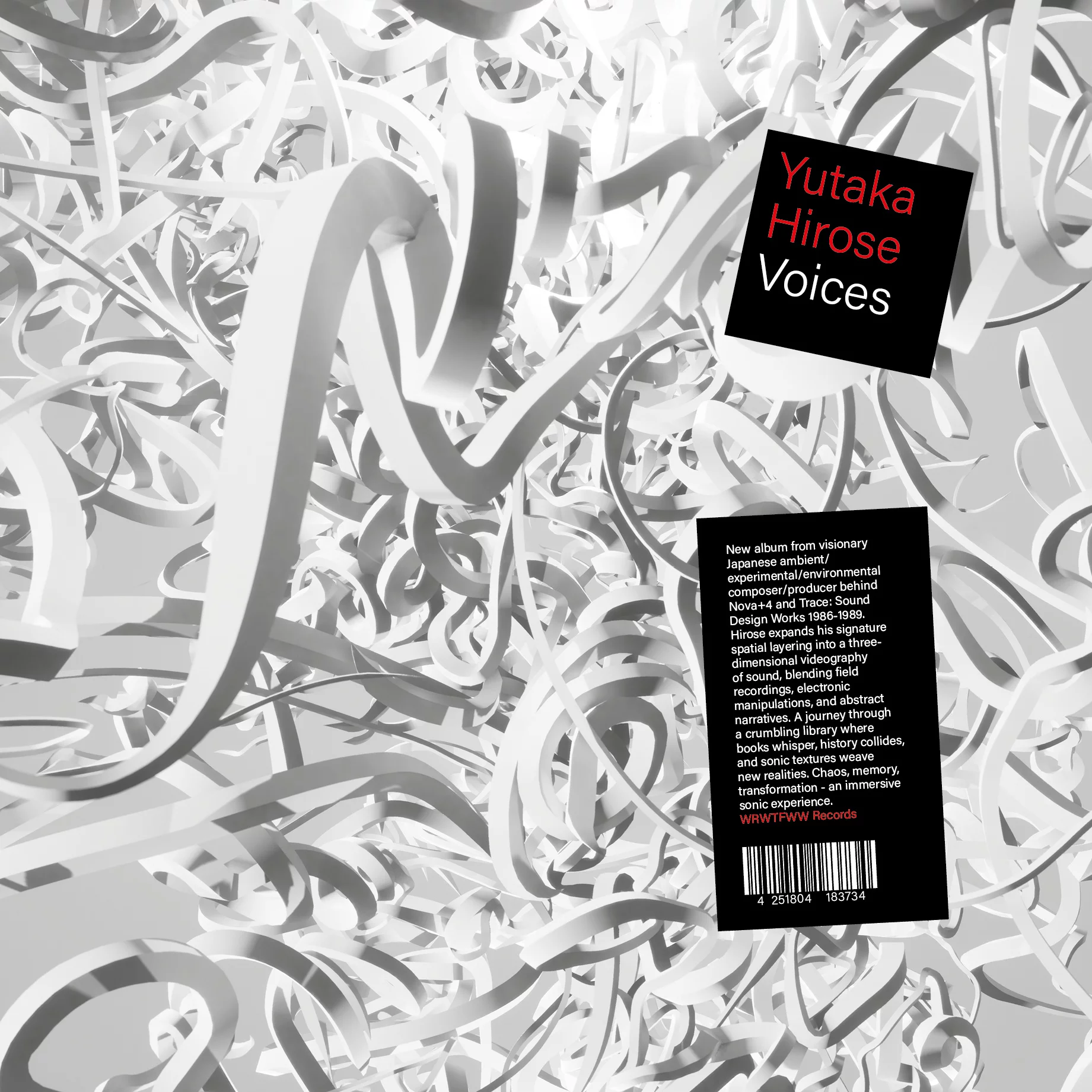 Yukata Hirose - Voices (2LP) (Heavyweight 350gsm Sleeve, Stickers, Liner Notes) : 2LP
