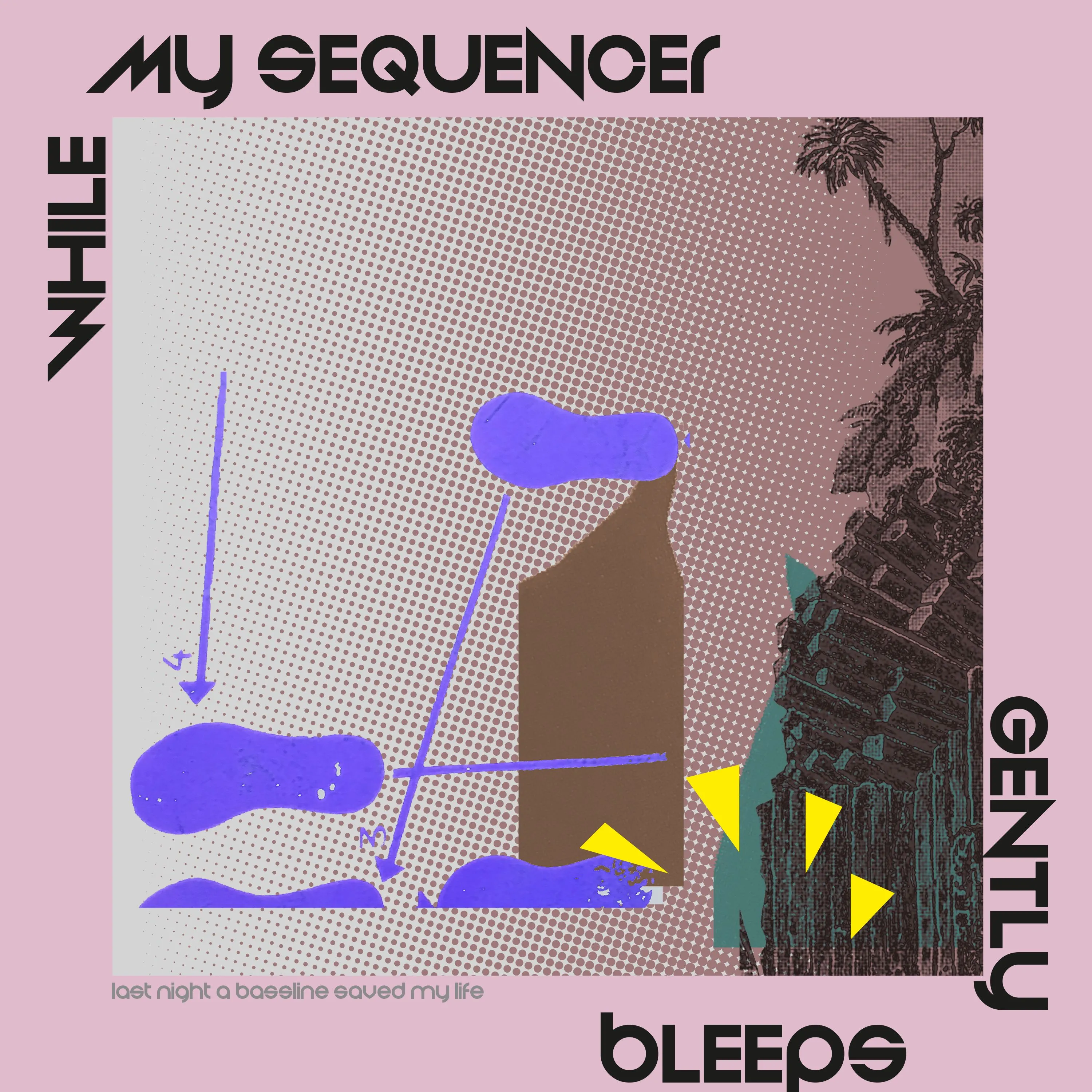 While My Sequencer Gently Bleeps - Last Night A Bassline Saved My Life : 12inch