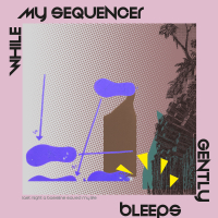 While My Sequencer Gently Bleeps - Last Night A Bassline Saved My Life