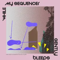 While My Sequencer Gently Bleeps - Last Night A Bassline Saved My Life
