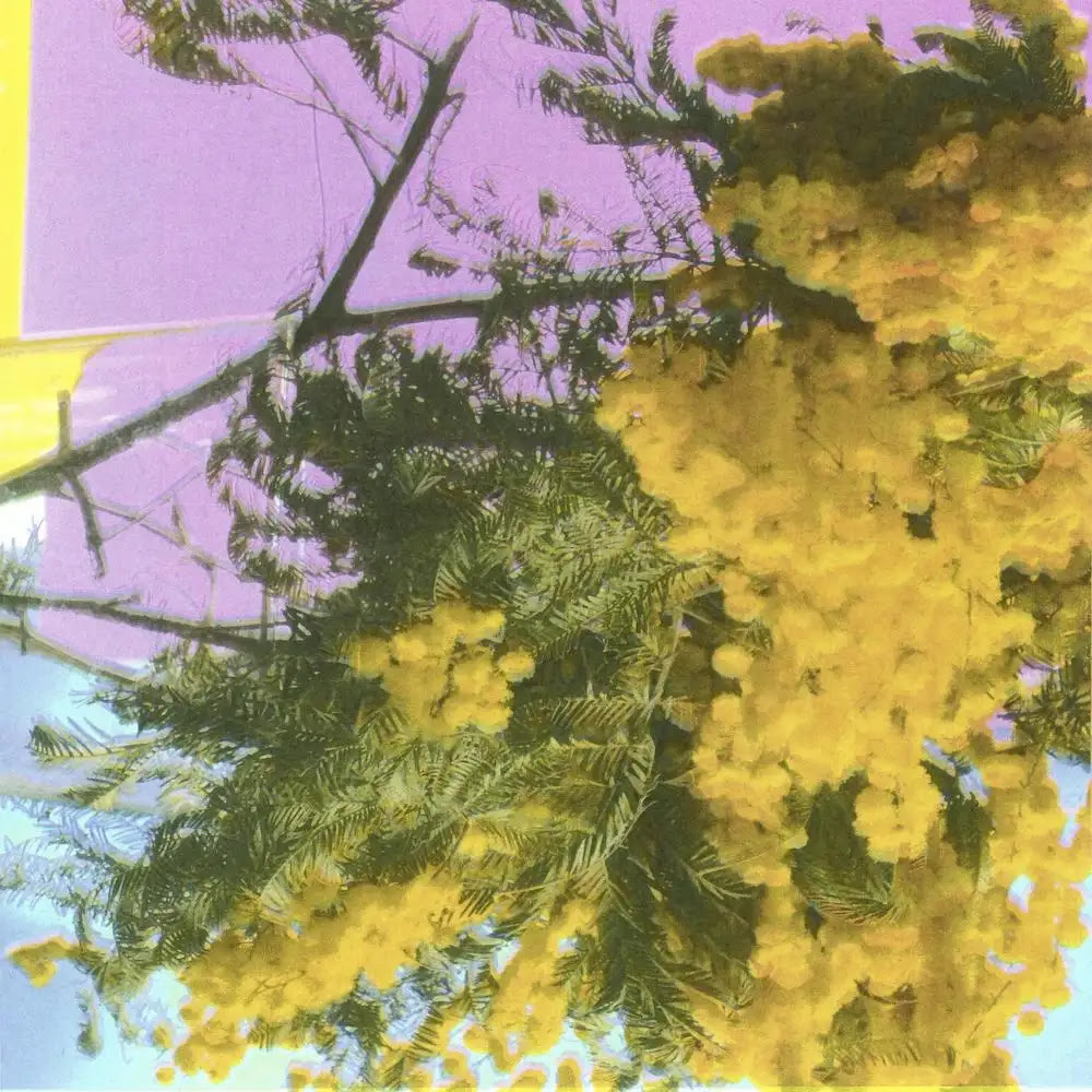 Four Tet - INTO DUST (STILL FALLING : 12inch