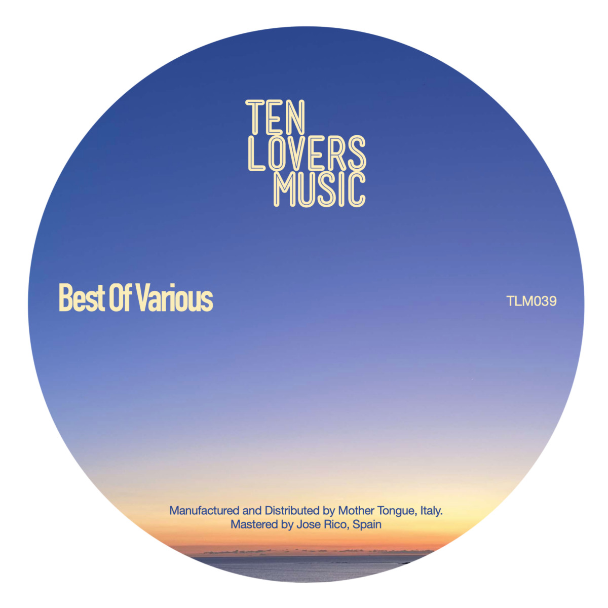 Various - Best Of Various : 12inch