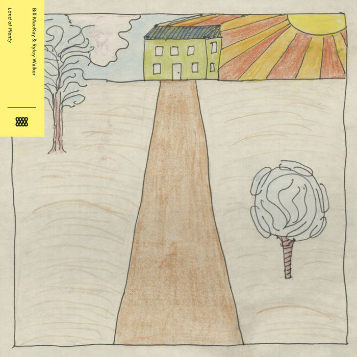 Bill MacKay & Ryley Walker - Land of Plenty : LP