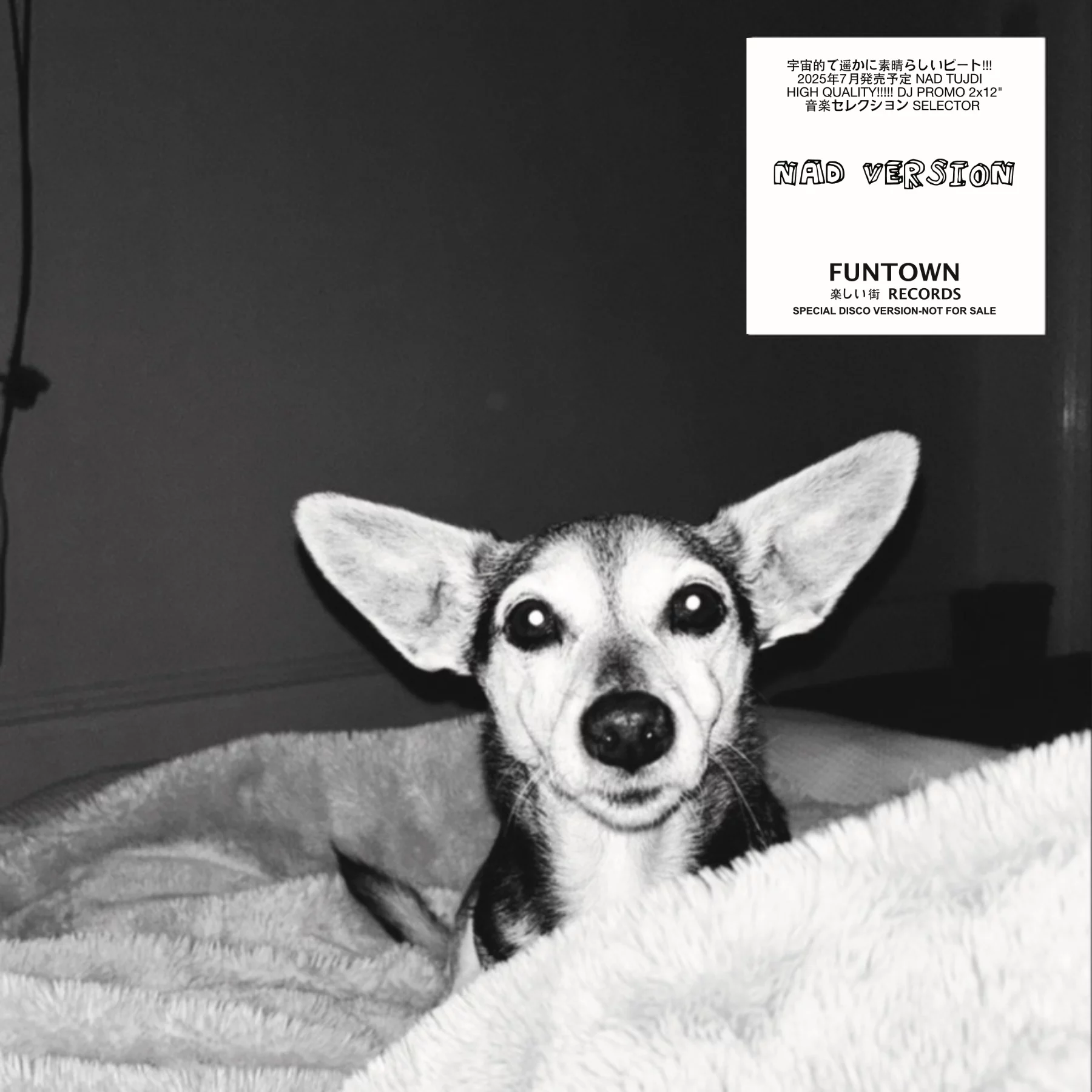 Funtown - NAD Version : 2LP