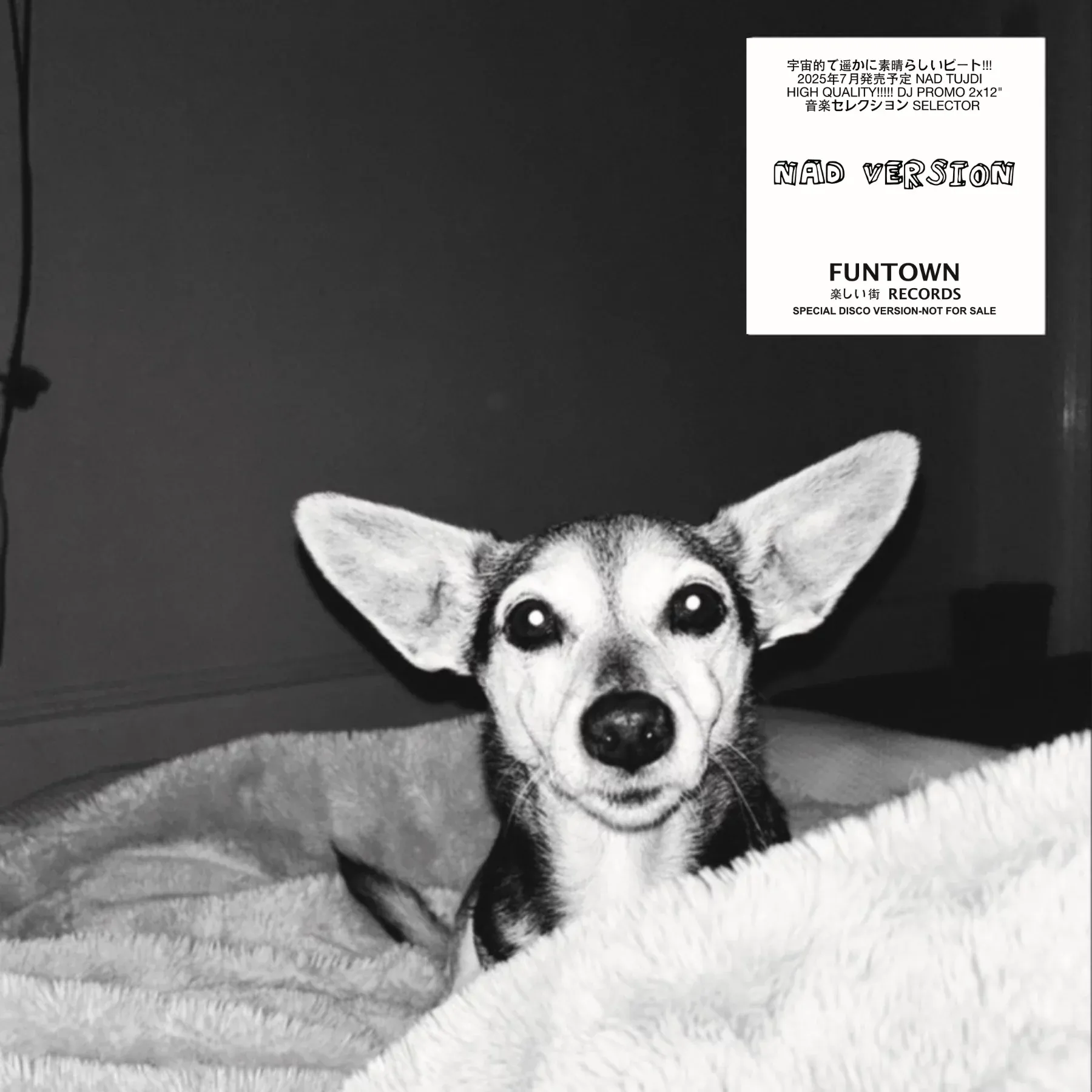 Funtown - NAD Version : 2LP