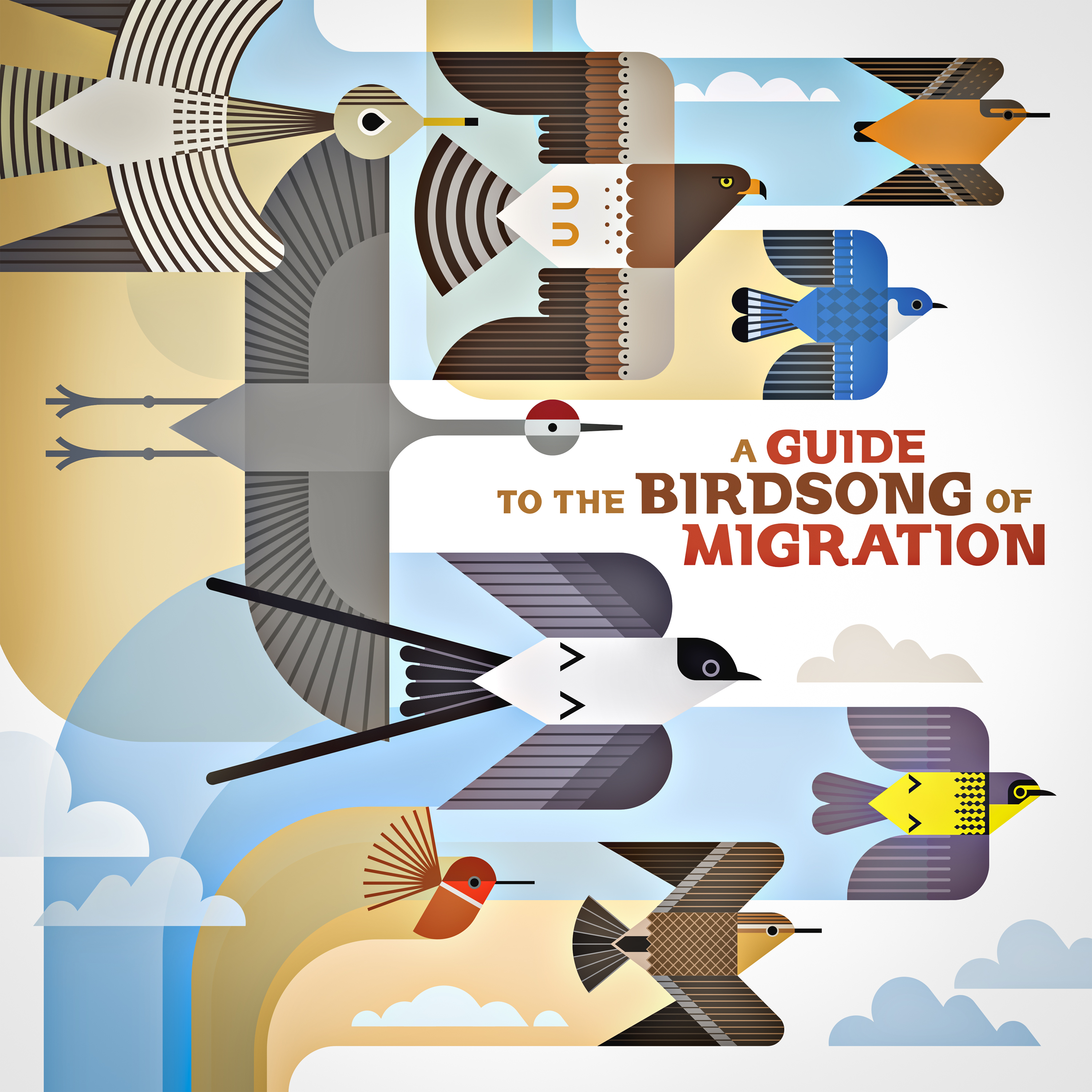 Various Artist - A Guide To The Birdsong Of Migration : LP