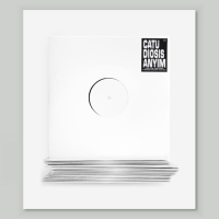 Imagination Changes レコード 2021年再発盤 Imagination Changes レコード 2021年再発盤 Imagination