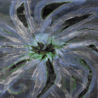 Mu Tate, Nexcyia & Exzald S - Labège