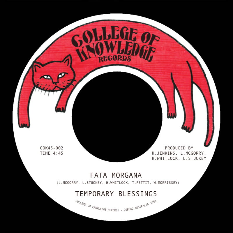 Temporary Blessings - Fata Morgana B/w Silence Leaves an Open Wound : 7inch