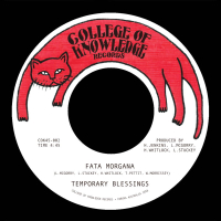 Temporary Blessings - Fata Morgana B/w Silence Leaves an Open Wound