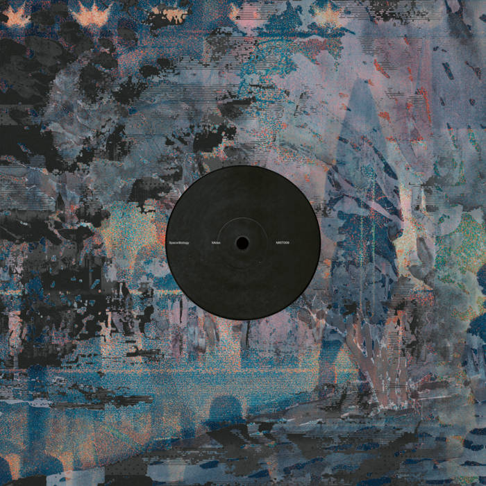 Space Biology - Midas : 12inch