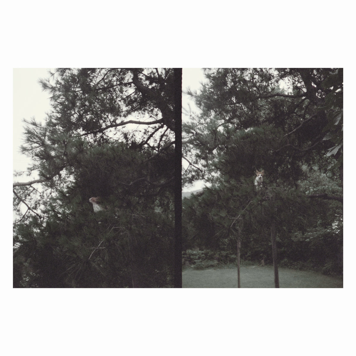 Okkyung Lee - just like any other day (어느날) : background music for your mundane activities : LP