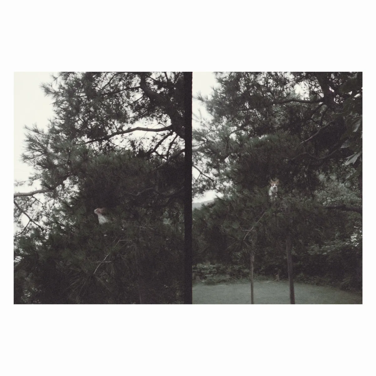 Okkyung Lee - just like any other day (어느날) : background music for your mundane activities : LP