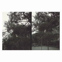 Okkyung Lee - just like any other day (어느날) : background music for your mundane activities
