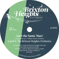 Gaudi & The Brixton Heights Orchestra - Am I The Same Man?