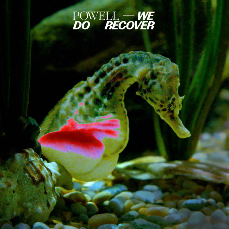 Powell - We Do Recover : 2LP