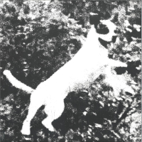 Edmondson - Azura
