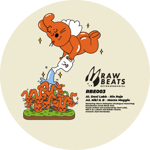 Various Artists - Rawbeats Extrasensorial 003 : 12inch