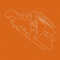 Rhodri Davies - For Simon H. Fell