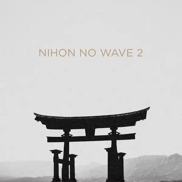 Various Artists - Nihon No Wave Vol. 2 2LP : 2LP