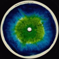 Kennedy - Dream 4