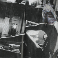 Jalen Elk Star - Esin