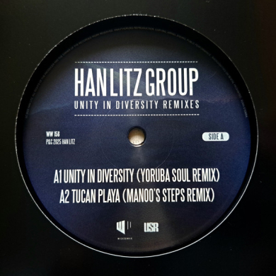 ミュージシャン Unity Han Litz Group - Unity In Diversity Remixes | NEWTONE RECORDS