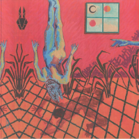 Existencia Pasajera - The Brujo EP (feat Magda, Map.ache remixes)