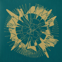 phase space - Degrees of Freedom
