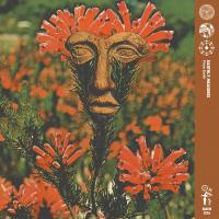Earthly Measures - From Earth