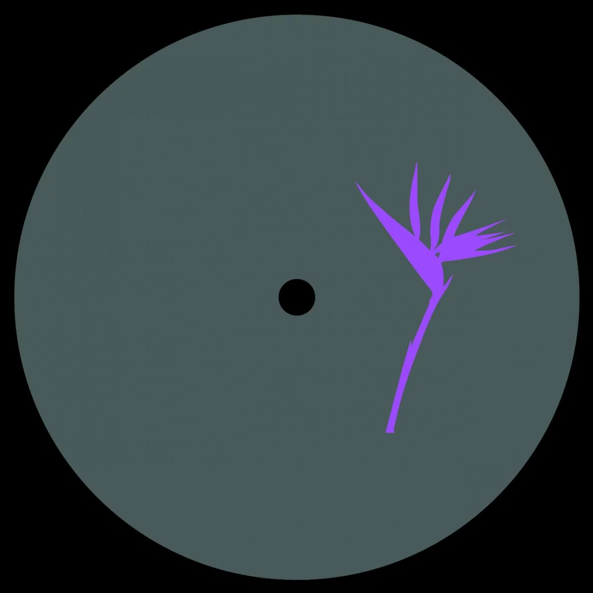 Zenk & Ted Amber - Memesis EP (vinyl only) : 12inch