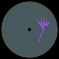 Zenk & Ted Amber - Memesis EP (vinyl only)