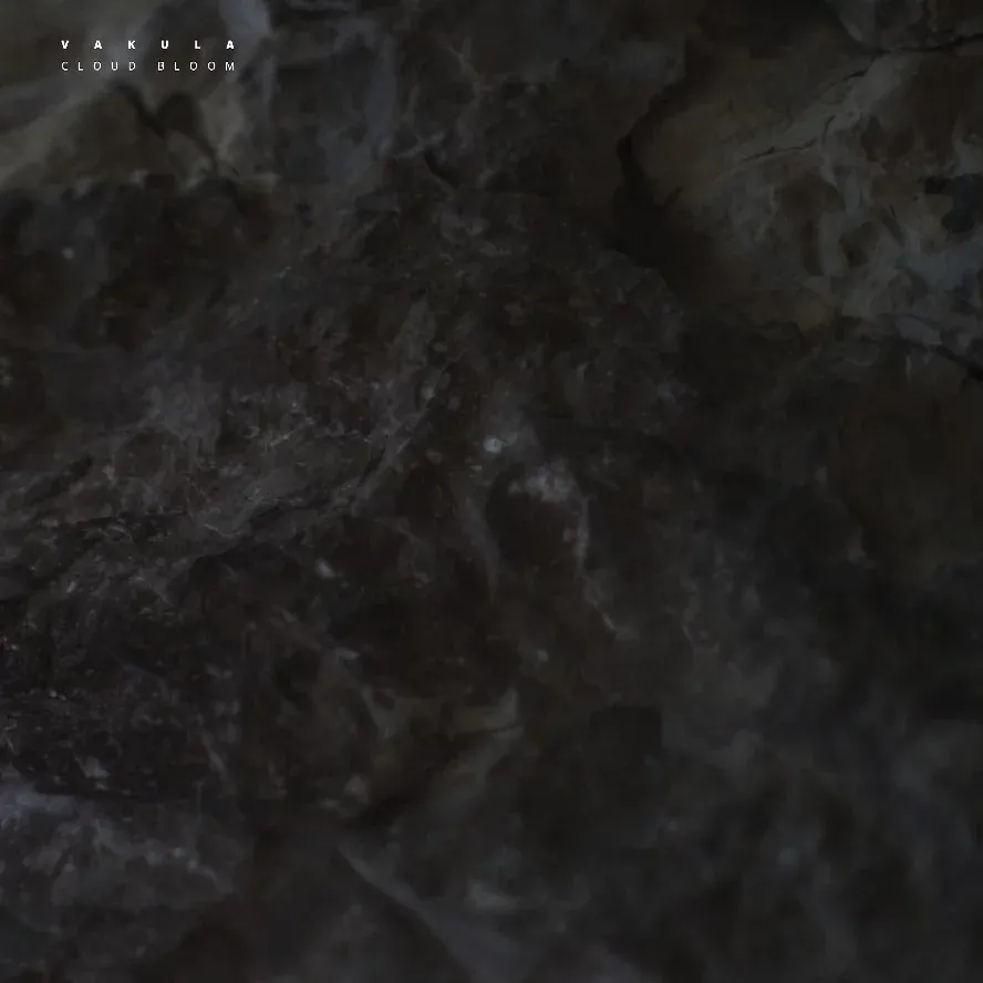 Vakula - Cloud Bloom : 12inch Excl