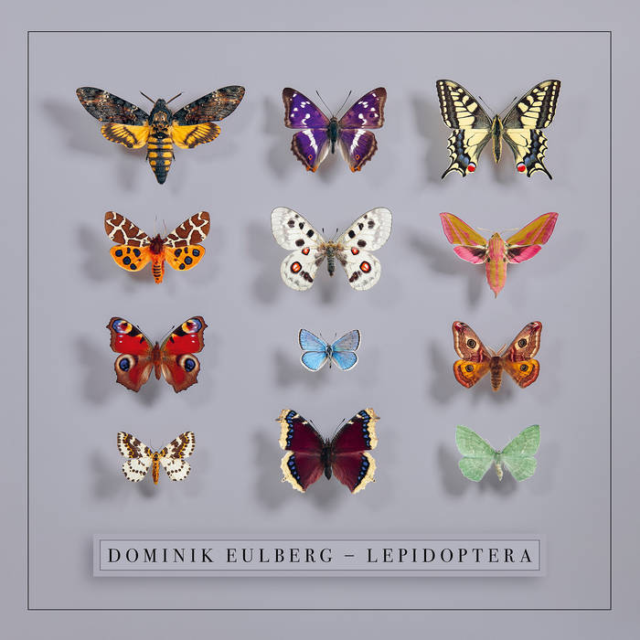 Dominik Eulberg - Lepidoptera : 2LP