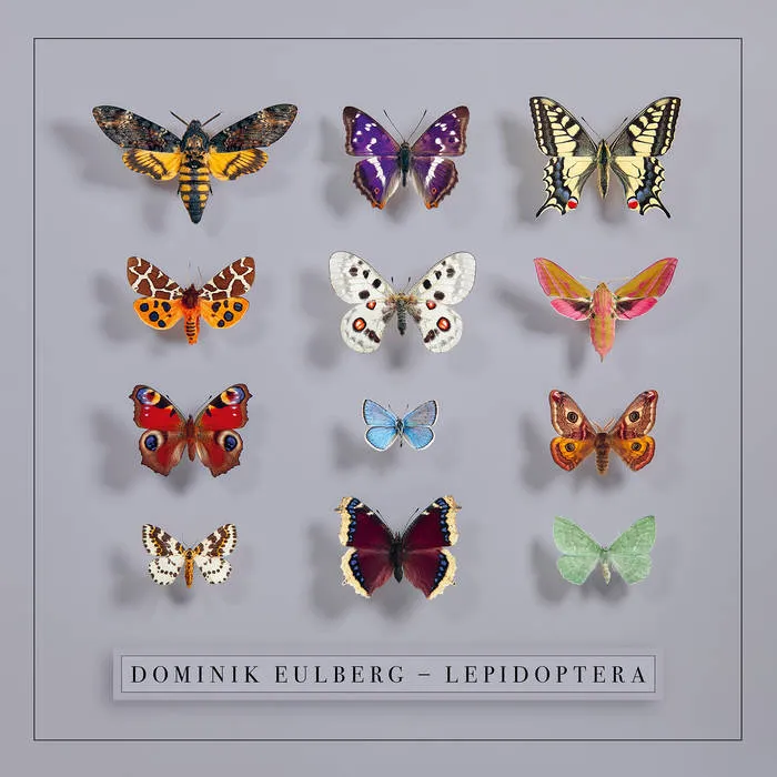Dominik Eulberg - Lepidoptera : 2LP
