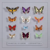 Dominik Eulberg - Lepidoptera
