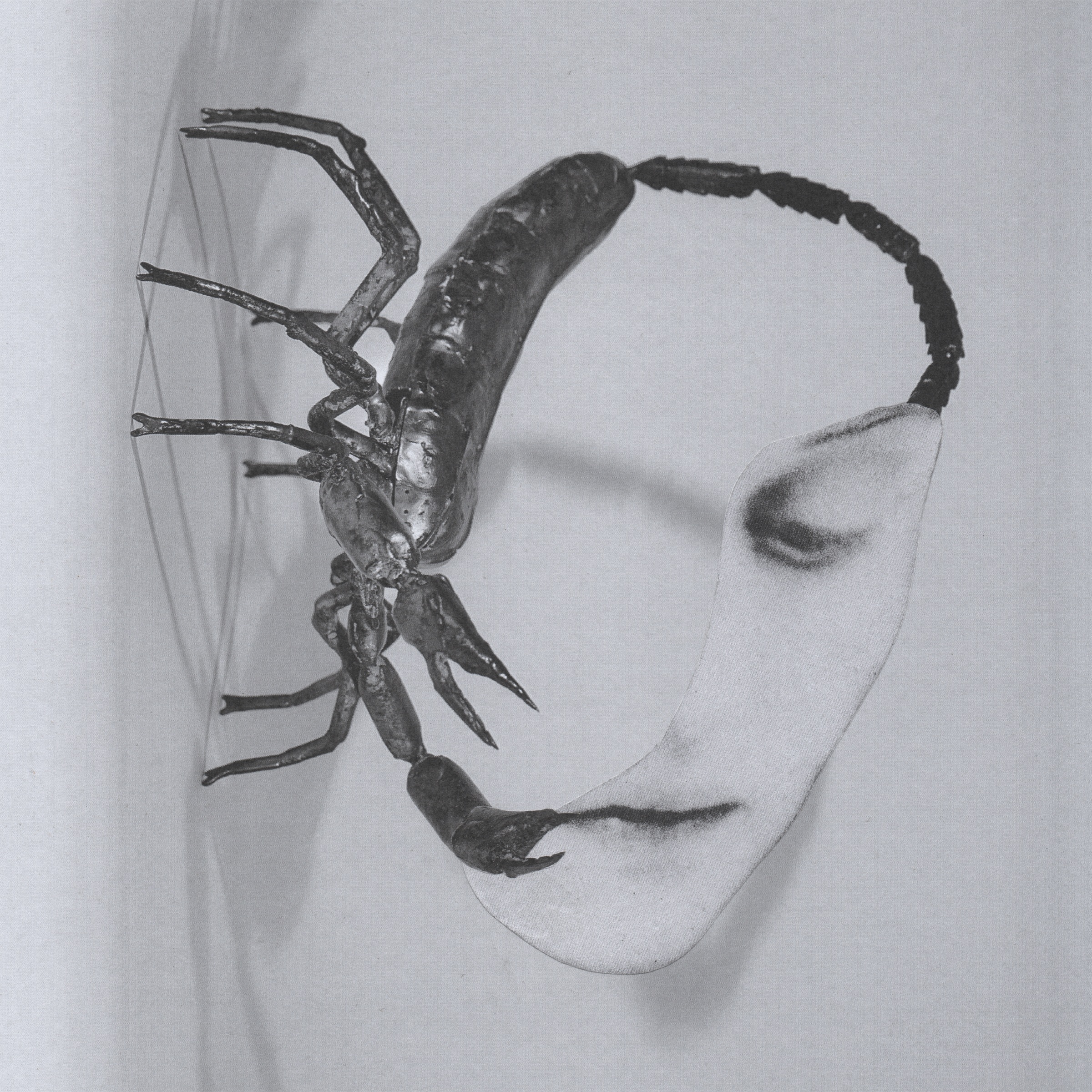 Tortoise - Touch : LP