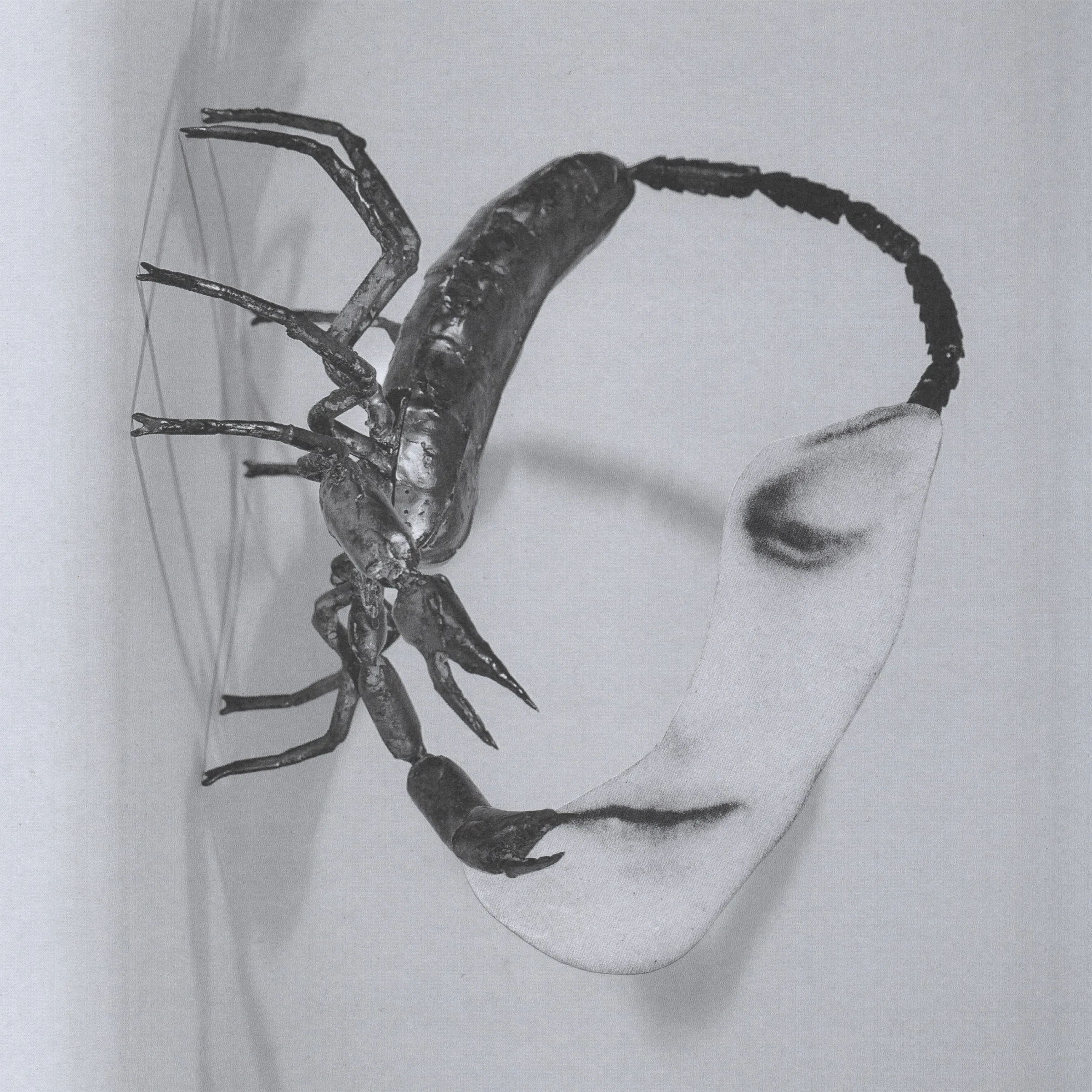 Tortoise - Touch : LP