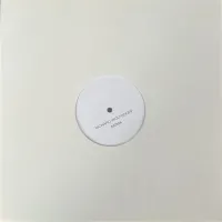 デトロイトテクノ、ハウス、ブロークンビーツ レコード9枚セット レコードショップ NEWTONE RECORDS:輸入レコード通販サイト