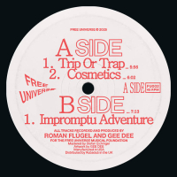 Roman Flügel & Gee Dee - Impromptu Adventure