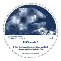 Various Artists - Eel Sounds 02