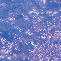 Katatonic Silentio - Water Dubs